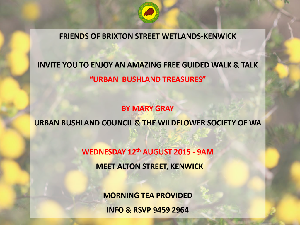 Brixton August Walk and Talk Flyer